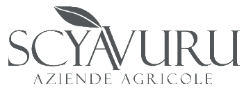 Logoscyavuru